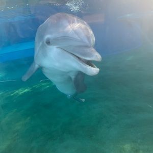 Meet your Posher, Alicia